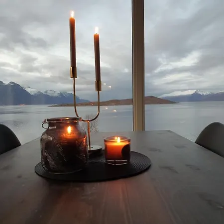 Amazing Cabin In Lyngen Tatil Evi